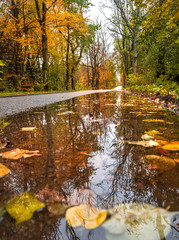 Pit on the road in the autumn forest in rain. Asphalt  road in overcast rainy day. Roadway with reflection and trees in kaliningrad region. Empty highway in fall woodland.