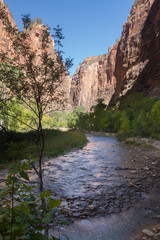 Pristine river flowing through Zion National Park