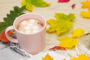 A large Cup of hot cocoa with marshmallows and a warm blanket on the background of autumn leaves. Cozy autumn composition.