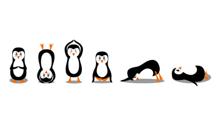 Penguin practices yoga in different asanas