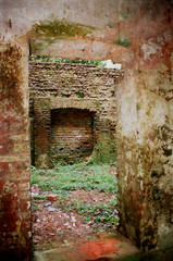 Backyard of a ruined house at Panam Nagar