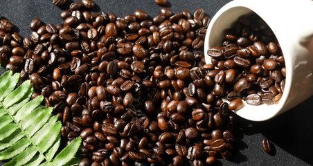 Fresh coffee beans That has been roasted well