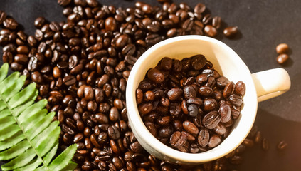 Fresh coffee beans That has been roasted well