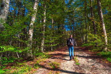 Fototapeta premium A traveler with a backpack and a camera walks through the forest