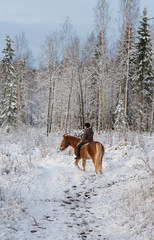 Woman horseback riding in winter
