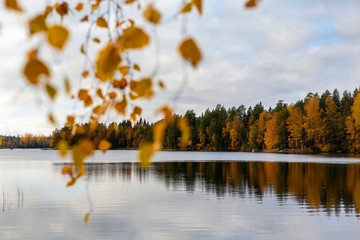 Autumnal scenery at the lake shore in Finland. October day with cloudy sky.