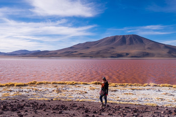 Laguna roja en Bolivia Sur América, Hogar de flamencos