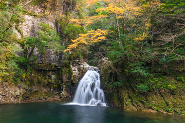 Waterfalls / Japan