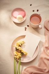Fototapeta na wymiar Tea cup with Rose tea and fresh flower and macarons on white background