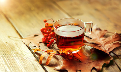 Hot cup of tea with autumn leaves and rowanberry