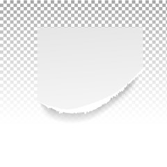 Torn paper holes. Hole in the sheet of paper on a transparent background for web and print.