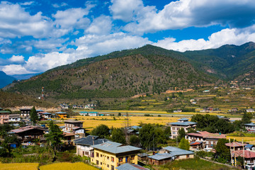 Fototapeta na wymiar Bhutan Paro Paddy field