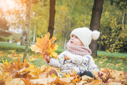 happy little child, baby girl laughing and playing in the autumn on the