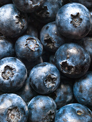 Makro zdjęcie borówek niebieskich