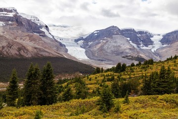 Athabasca Glacier