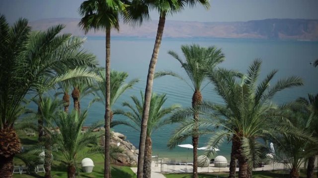Beach on the Sea of Galilee. Palm trees on the shore. Water surface, calm.