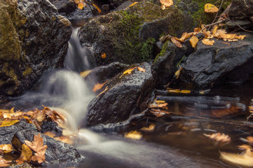 Fototapeta na wymiar Las hojas caídas de otoño bordean el arroyo de Sestil del Maíllo, en el Puerto de Canencia. Parque Nacional de la Sierra de Guadarrama. Comunidad de Madrid. España