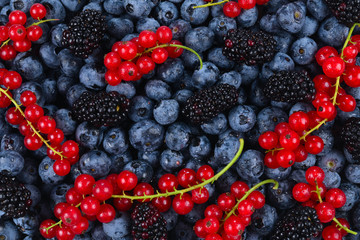 Blackberry, raspberry, blueberry,  red currant and mint background.