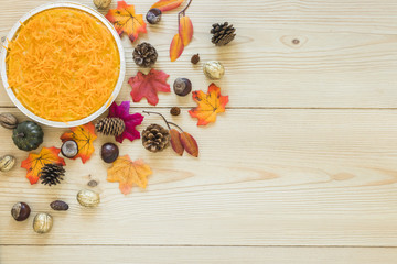Carrot in plate between snags and dry leaves