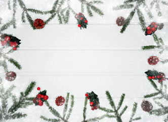 Fototapeta na wymiar christmas fir tree branch with cones winter berries in snow