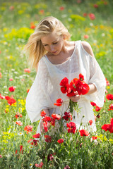 Naklejka na ściany i meble Young girl in white dress picking poppies plants outdoor in fields