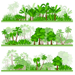 Tropical forest. Samples 2.	
