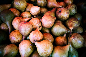 Fresh organic pears. Pear autumn harvest. Fruit background. Juicy flavorful pears of rustic background. Autumn nature and abundance concept.