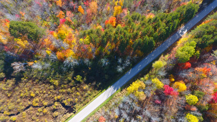 Creek surrounded by Fall Colours