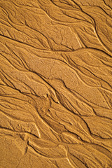 Close up, abstract, vertical image of the patterns and textures made by the sea water on a sand covered beach in the Algarve of southern Portugal