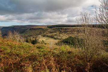Glenariff 