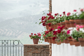 Flowerpots of Iznajar, Spain