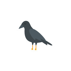 raven bird animal isolated icon vector illustration design