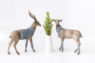 Beautiful Christmas figures of deer in blue knitted sweaters and scarf next to a fir branch on a white background. Male and female.
