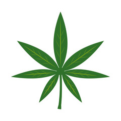 cannabis icon vector design template