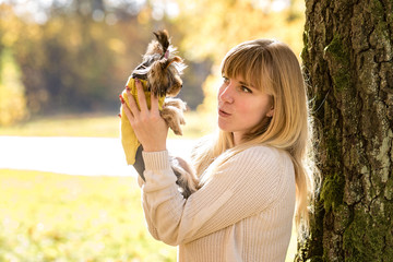 girl sits and relax on the ground in the autumn forest and plays with Yorkshire Terrier small dog