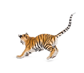 Two months old tiger cub pouncing against white background