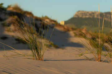 Sunset in Duna de Bolonia, Spain