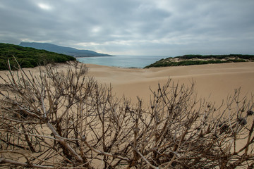 Duna de Bolonia, Spain