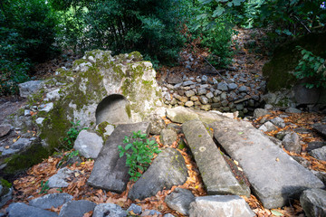 Olympos antique city. Ruins in the forest. Kemer, Antalya, Turkey.