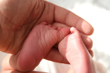 Parent holding in the hands feet of newborn baby
