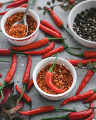 spices and chili peppers on a gray background