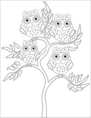 Coloring book for adult and older children. Coloring page with cute owl and floral frame. Outline drawing in zentangle style