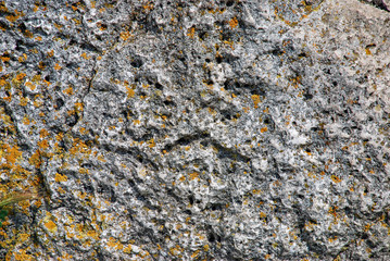 background of rock and some moss