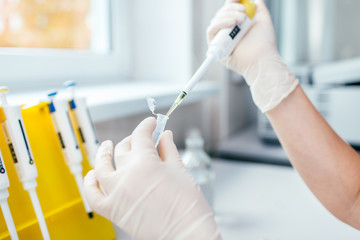 Pipette with several test tubes. Womans hand in white latex gloves in chemical laboratory filling the tube with the liquid. DNA test