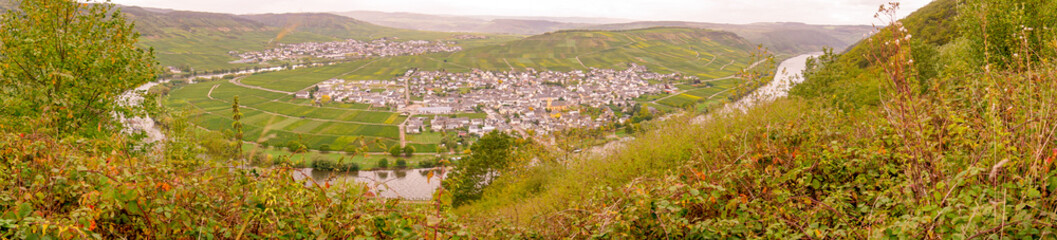 Leiwen  Dorf an der Mosel