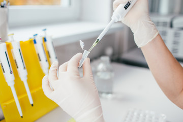 Pipette with several test tubes. Womans hand in white latex gloves in chemical laboratory filling the tube with the liquid. DNA test