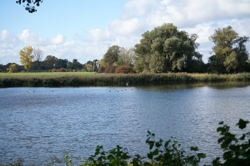The Danube and its old waters are photographed in Bavaria near Regensburg