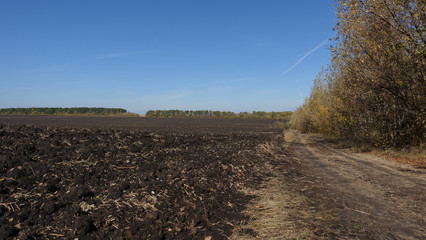 RoDirt road along the arable land on an autumn dayad along the arable land on an autumn day