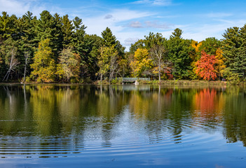 Mine Falls Foliage 3