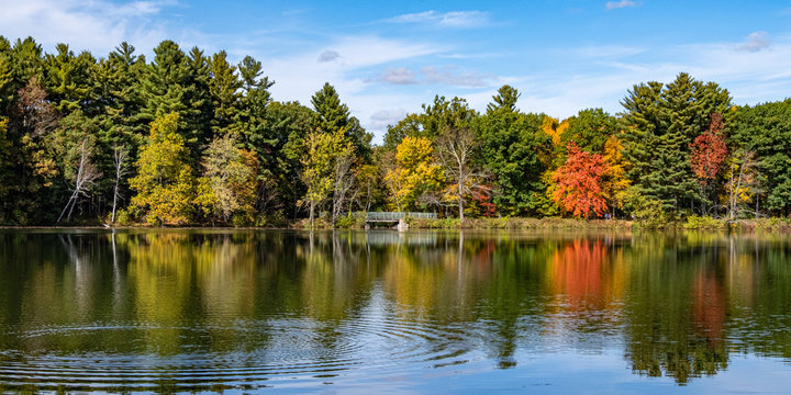 Mine Falls Foliage 2